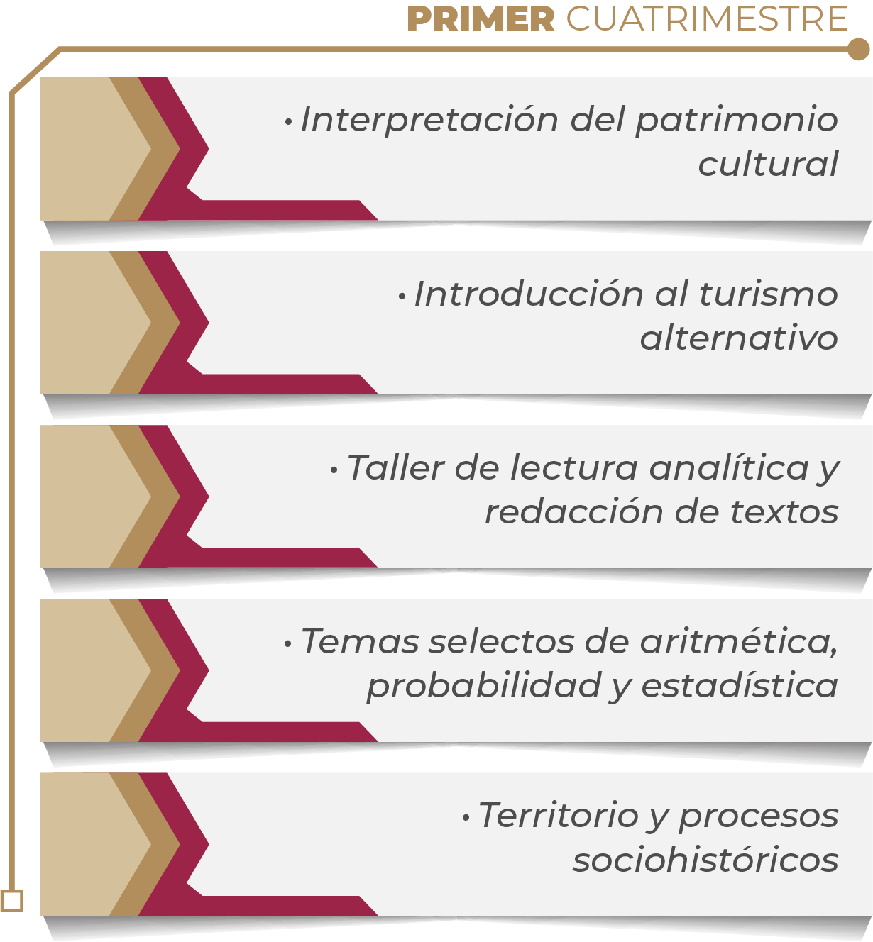 MAPA CURRICULAR SOFTWARE